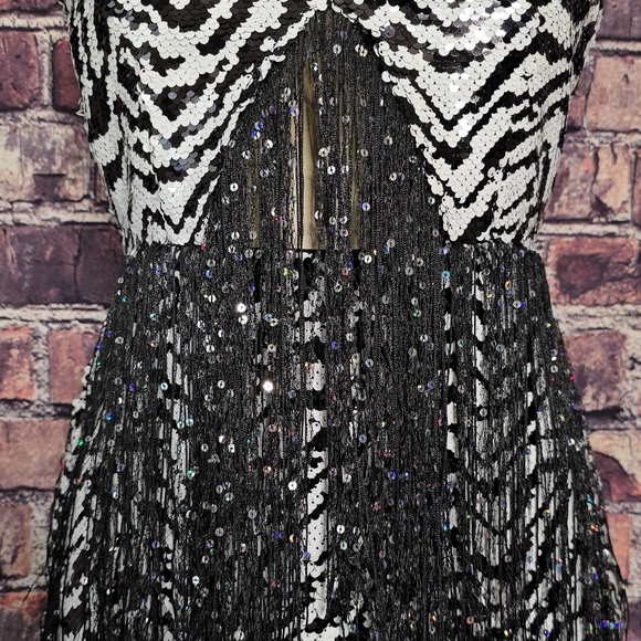 Wild Nights Zebra Sequin Fringe Dress - Picture 9 of 9